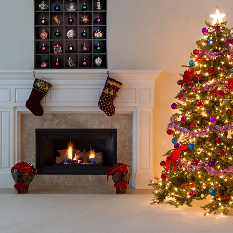Ornament Cases