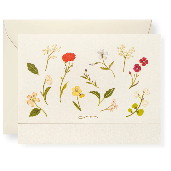 Karen Adams Box of 12 Assorted "2026 Calendar" Notecards with Matching Envelopes