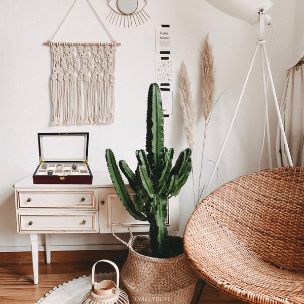 a living room filled with furniture and a potted plant 