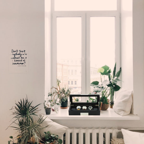 5 Piece Black Wood Watch Display Case Storage Organizer Box with Stainless Steel Accents