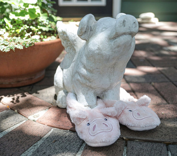 Faceplant Dreams Slipper Footsies - "Praise the Lard"